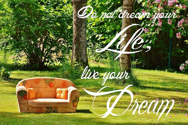 Do not dream your life, live your Dream