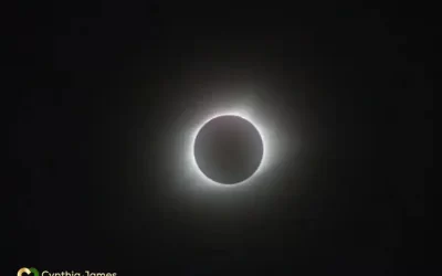 “Your” Total Eclipse: Creating The Next Chapter